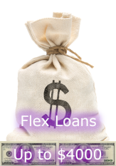 Flex Loans up to 4000 dollars